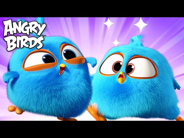 Angry Birds | When Things Don't Go As Planned