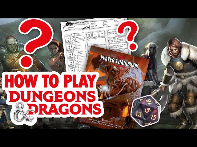 HOW TO PLAY DUNGEONS & DRAGONS - A beginners guide to D&D