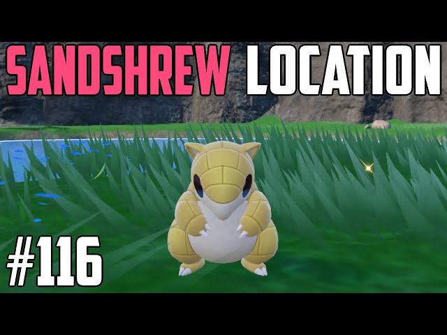 How to Catch Sandshrew - Pokémon Scarlet & Violet (DLC)