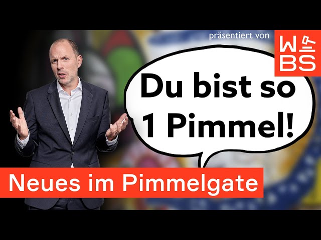 „Du bist so 1 Pimmel“: Überraschende Wende im #Pimmelgate um Andy Grote | Anwalt Christian Solmecke