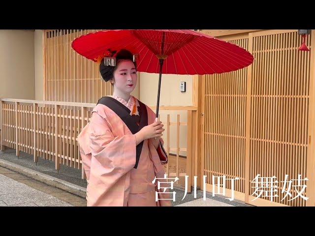 京都花街の和傘の似合う綺麗な舞妓さんの誕生 Maiko in Kyoto 【4K】 宮川町