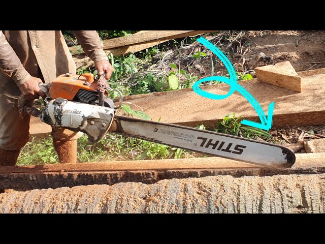 Wood Cutting Machine Chainsaw STIHL MS070 Vs. Palm Tree