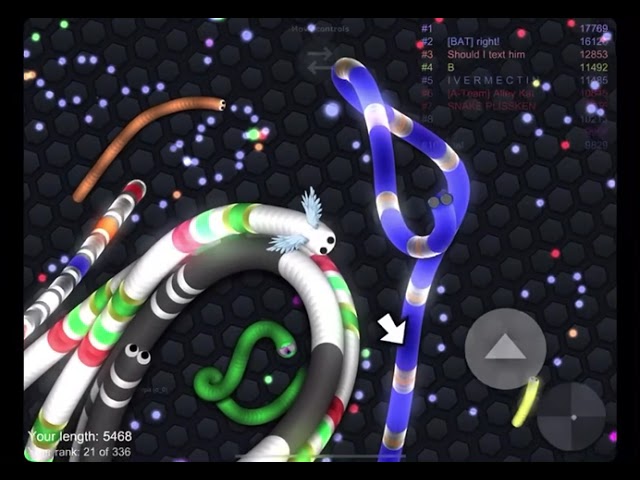Getting 8th place “again” on slither.io