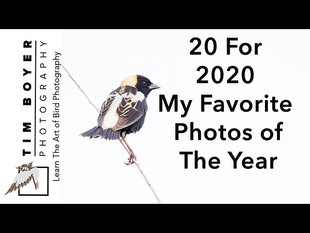 20 For 2020  -- My Favorite Photos of The Year