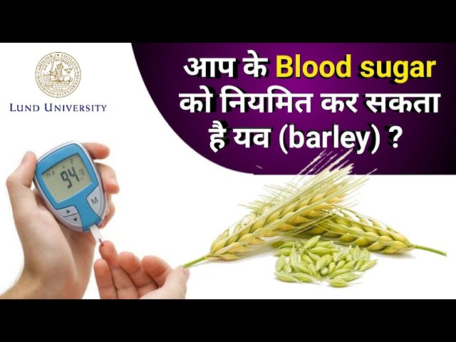 #Barley #Diabetes "Barley - Help in controlling Blood sugar " Explained by Dr. Pravinkumar A. Mishra