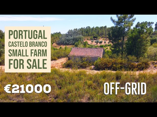 CHEAP OFF-GRID FARM FOR SALE | Castelo Branco, Central Portugal | VIRTUAL PROPERTY TOUR ☀