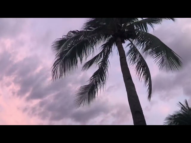 The Beauty of Purple Sunset 🏝 #viral #viralvideo #viralshorts