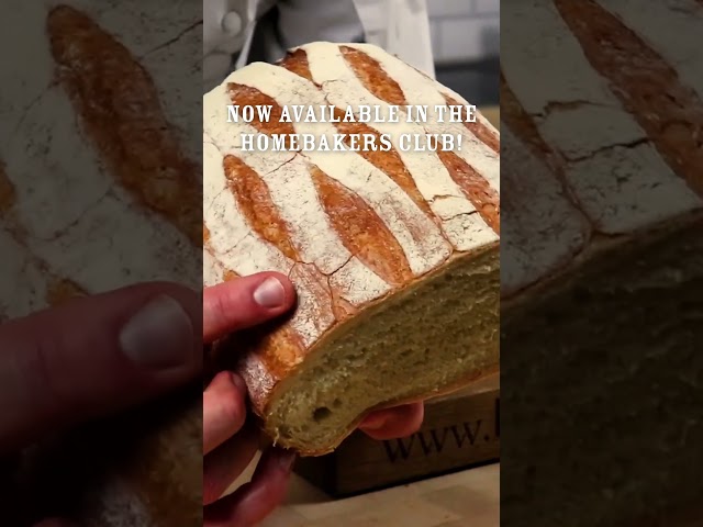 Stonebake a Crusty White Bloomer in the Homebaker's Club now