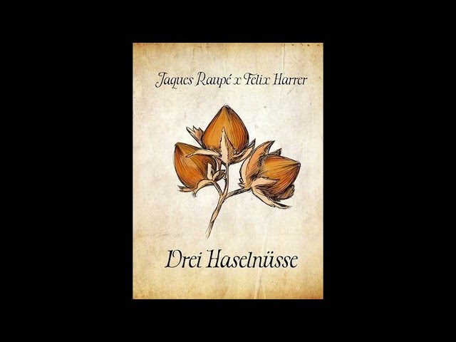 Jaques Raupé x Felix Harrer - 3 Haselnüsse (Jim Noize & Marv Extended Edit)