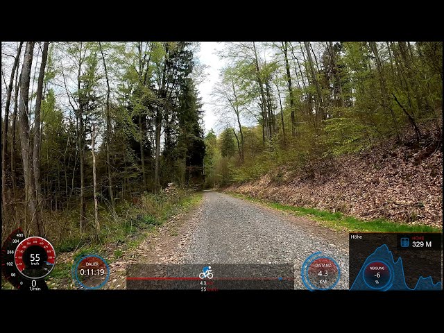 20 minute Beginner MTB 🚴‍♀️🌲🌳😍 Workout Indoor Cycling Training Garmin 4K Video