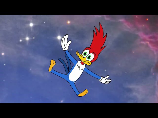 Woody está despierta | El Pájaro Loco | Dibujos animados para niños | WildBrain Niños
