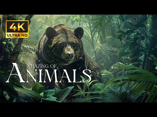 4K African Wildlife: Whispers of the Wild - The Untold Stories of African Forests-Animal Relax Music