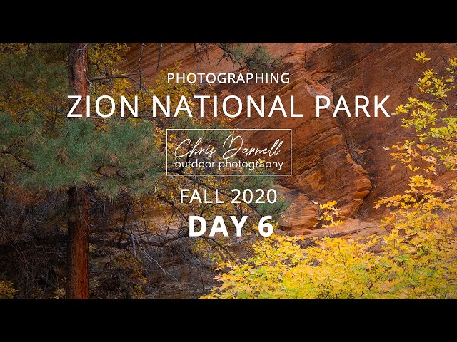 Photographing Zion National Park - Fall 2020 (Day 6)