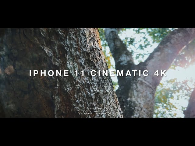 iPhone 11 Cinematic 4K Nature Video | Short Film