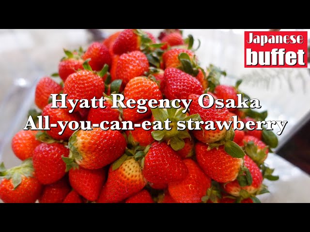 【Japan buffet】Afternoon tea & buffet with all-you-can-eat strawberries! Hyatt Regency Osaka
