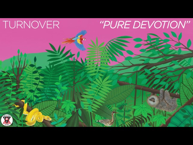 Turnover - "Pure Devotion" (Official Audio)