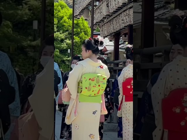 普段着も可愛い祇園甲部の舞妓さん #京都 #舞妓