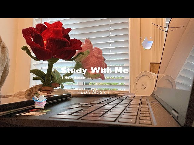 ⛅️ A Quiet Afternoon with Gorgeous Roses / Study With Me / 1 Hour Study / Lofi Music / Poetry Share
