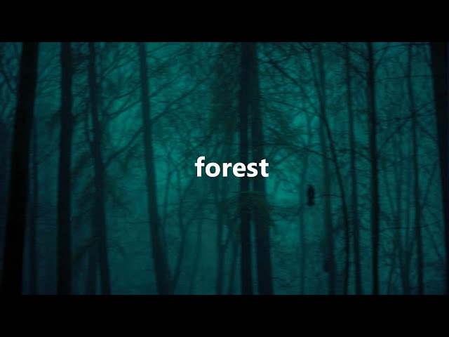 mmmanoti - forest