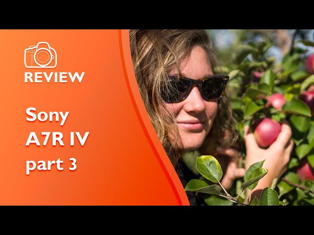 Sony A7R IV review - detailed, hands-on, not sponsored (3)