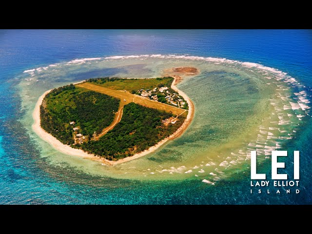 LEI (Lady Elliot Island)