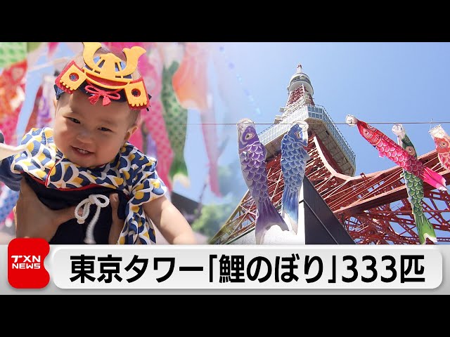 東京タワー「鯉のぼり」333匹（2024年5月5日）