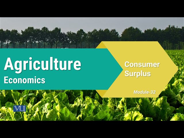 Consumer Surplus | Agricultural Economics | ECO608_Topic032