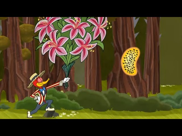 El pájaro y las abejas | El Pájaro Loco | Dibujos animados para niños | WildBrain Niños