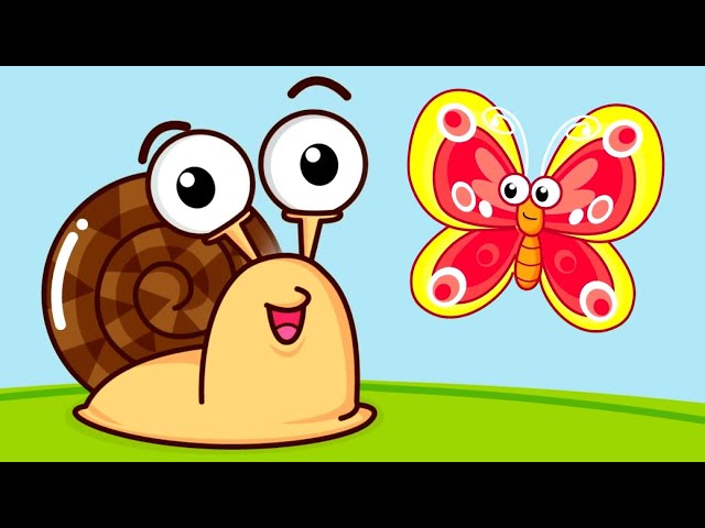 Snail And The Butterfly Insects Song and Animal Cartoon for Babies