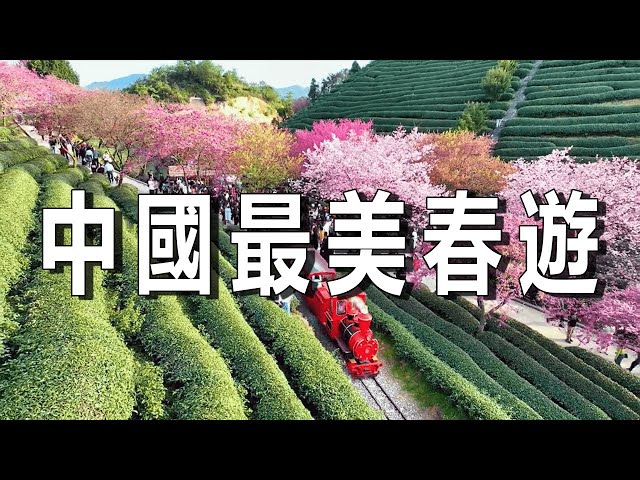 中國十大最美春季旅遊景點，约闺蜜朋友去野外郊游踏青赏花，享受春日的美好。【樂樂視界】