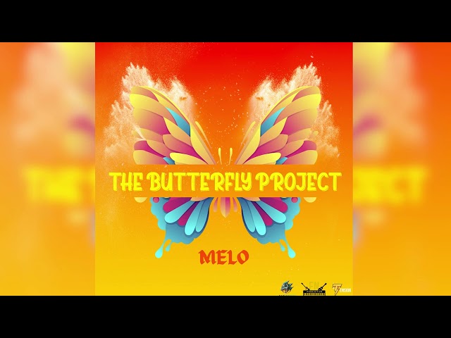 The Butterfly Project "DJ Melo Mix" ( 2024 Soca Music | Patrice Roberts | Problem Child | Preedy | )
