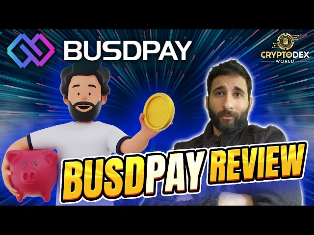 BUSDPAY Review: Speculate Less, Earn More | Rewards in 10 % Daily ROI in BUSD | CryptoDexWorld