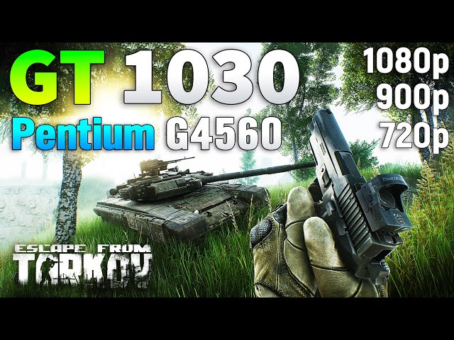 Escape from Tarkov : GT 1030 + Pentium G4560 l 1080p l 900p l 720p l