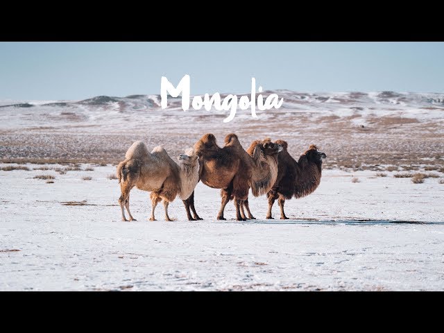 Travel to Mongolia in Winter