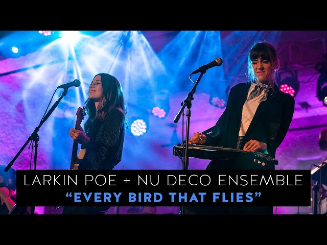 Larkin Poe & @NuDecoEnsemble - "Every Bird That Flies" (Live In Concert)