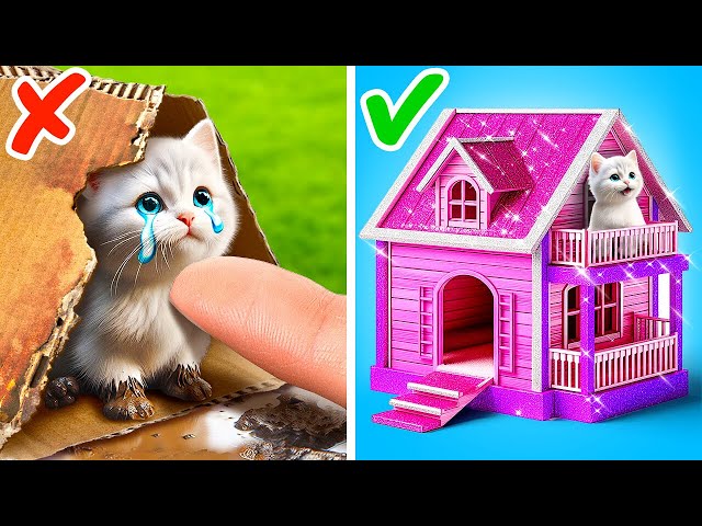 OMG! 🔍🤫🎀 I Built A Secret Room For My Kitten In A Dollhouse
