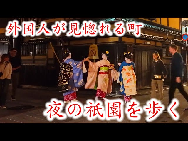 Kyoto night walk/Japan's old town Gion and Maiko/November 2 2023 舞妓さんのいる夜の祇園を歩く