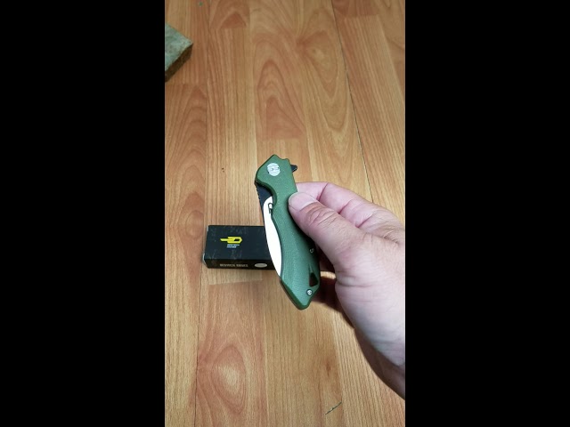 BESTECH KNIVES BELUGA LINERLOCK STEEL FOLDING BLADE GREEN G10 HANDLE KNIFE