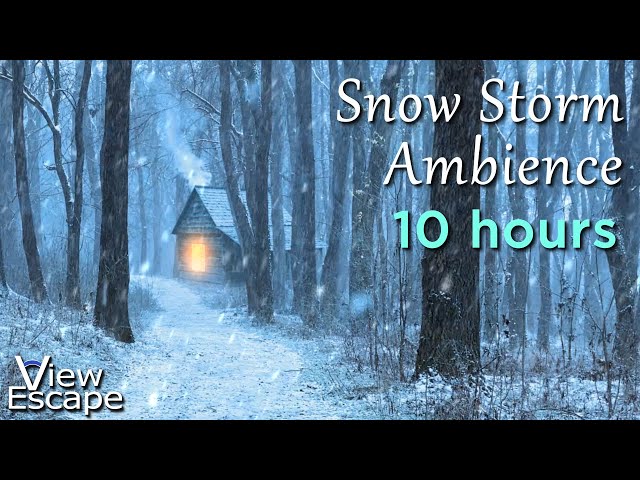 Snow Storm with Wind and Snowfall Sounds | Blizzard ASMR White Noise | 10 HOURS