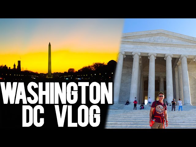 Exploring ALL The Museums In Washington DC | USA East Coast Roadtrip Vlog 4