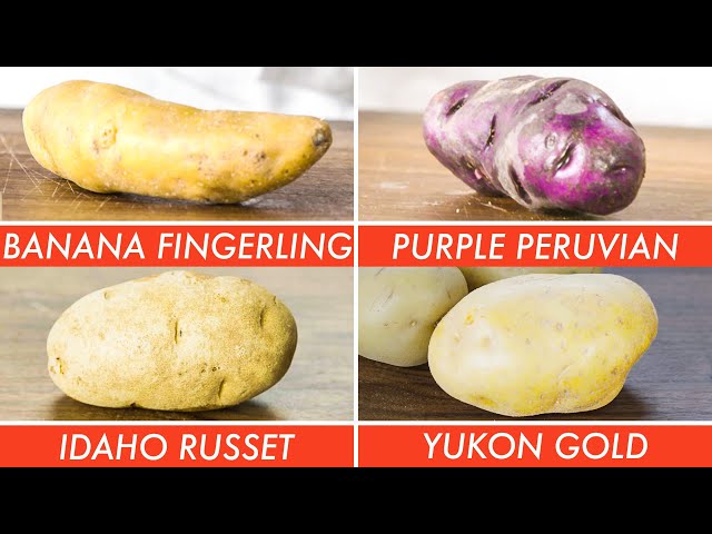 Trying Every Type Of Potato | The Big Guide | Epicurious