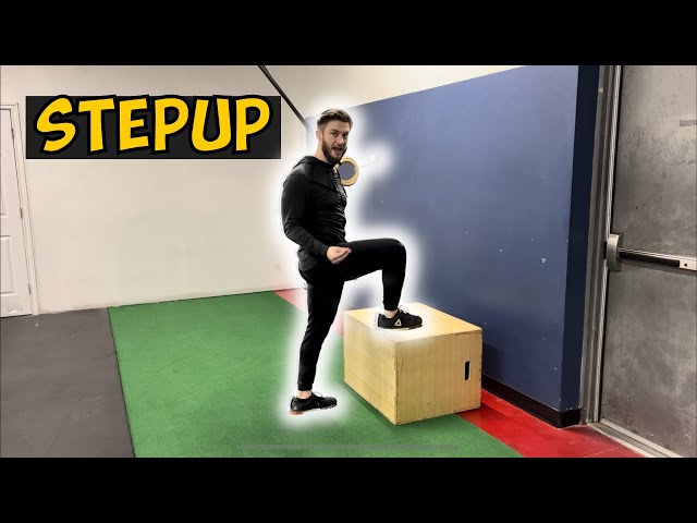 How to do the Box Step Up Exercise | 2 Minute Tutorials
