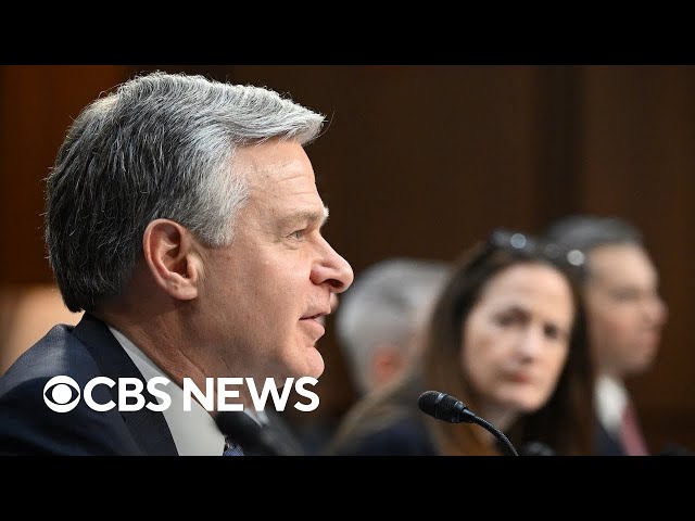 Senate Intelligence Committee holds hearing on worldwide threats | full video