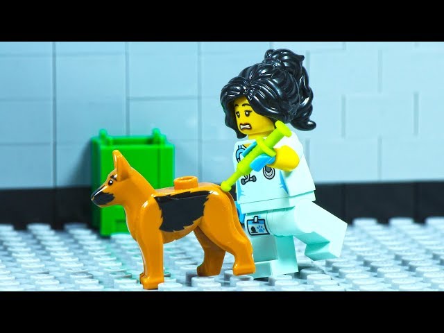 Lego City Veterinary