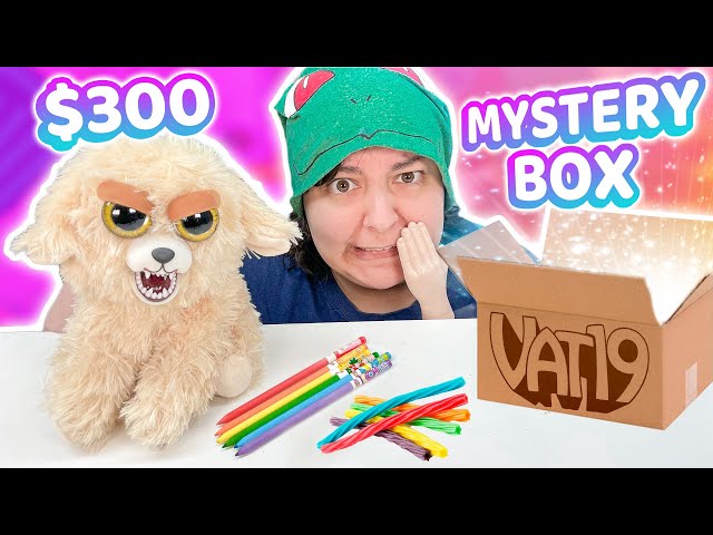 I Bought Expensive $300 Mystery Boxes Vat19