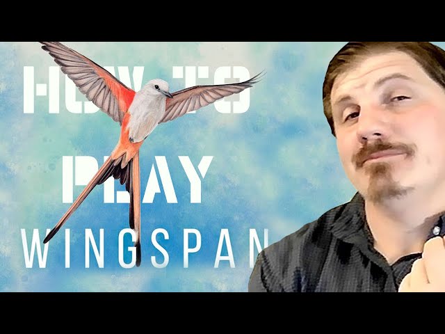 How to play Wingspan: Board Games