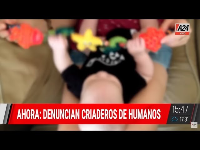 DENUNCIAN CRIADEROS DE HUMANOS: ¿Hay una "fábrica" de bebés en Córdoba?