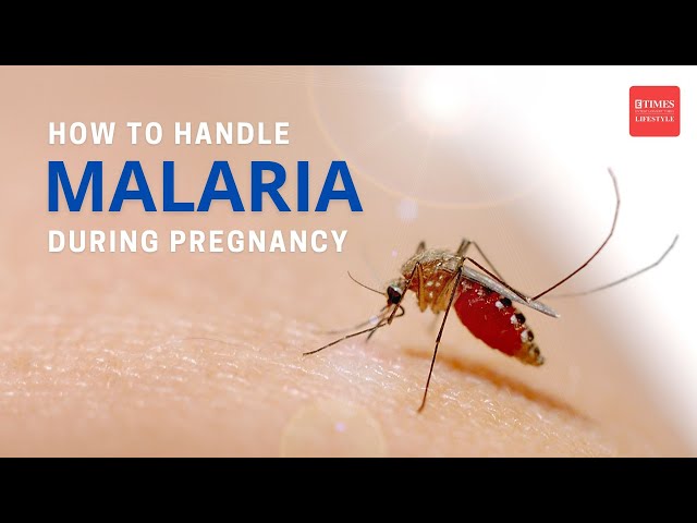 Pregnant & Worried About Malaria?  Expert Doctor Explains How to Stay Safe! | Prevention & Treatment