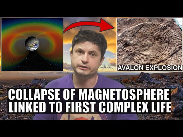 Strange Link Between Magnetosphere Collapse and Complex Life on Earth
