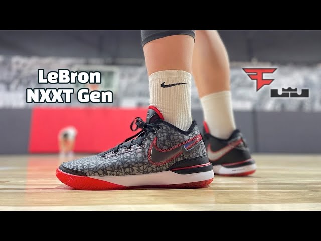 LeBudget Shoe…or Not?! Nike LeBron NXXT Gen